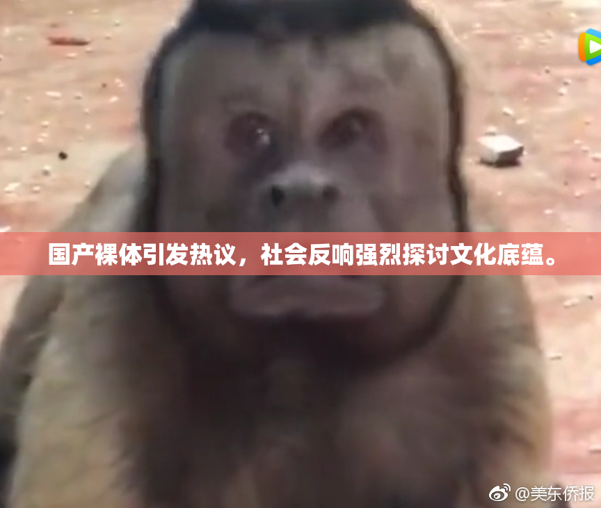 国产裸体引发热议，社会反响强烈探讨文化底蕴。