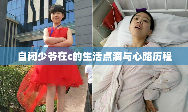 自闭少爷在c的生活点滴与心路历程