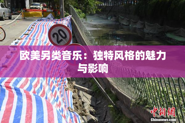 欧美另类音乐：独特风格的魅力与影响