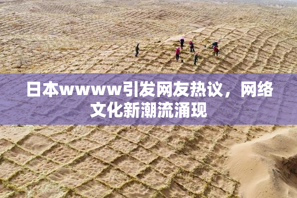 日本wwww引发网友热议，网络文化新潮流涌现
