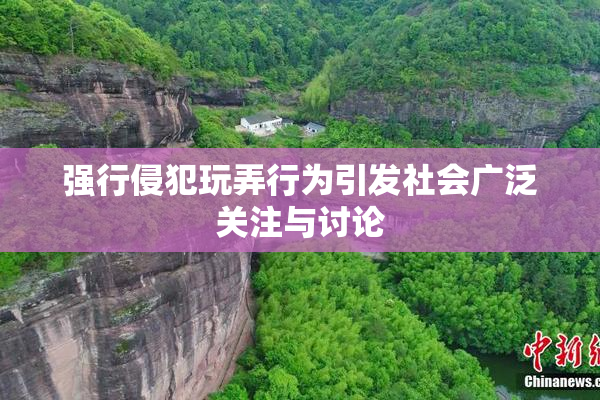 强行侵犯玩弄行为引发社会广泛关注与讨论