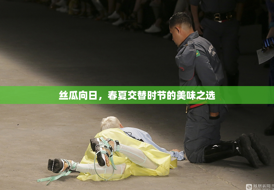 丝瓜向日，春夏交替时节的美味之选