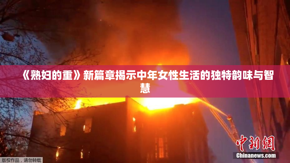 《熟妇的重》新篇章揭示中年女性生活的独特韵味与智慧