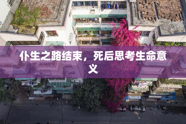 仆生之路结束，死后思考生命意义