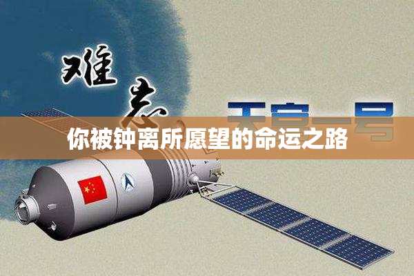 你被钟离所愿望的命运之路