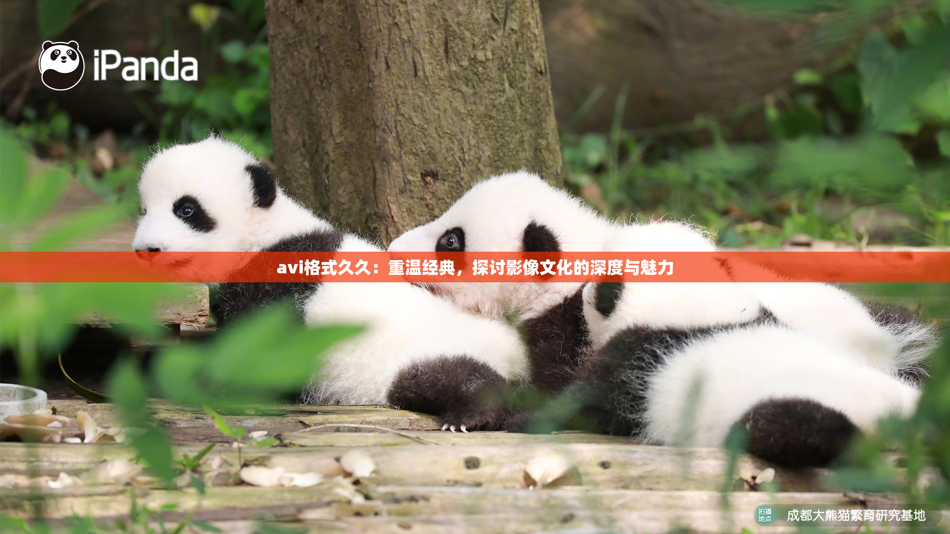 avi格式久久：重温经典，探讨影像文化的深度与魅力