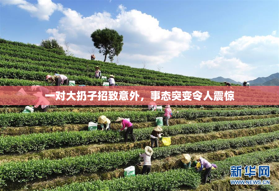 一对大扔子招致意外，事态突变令人震惊