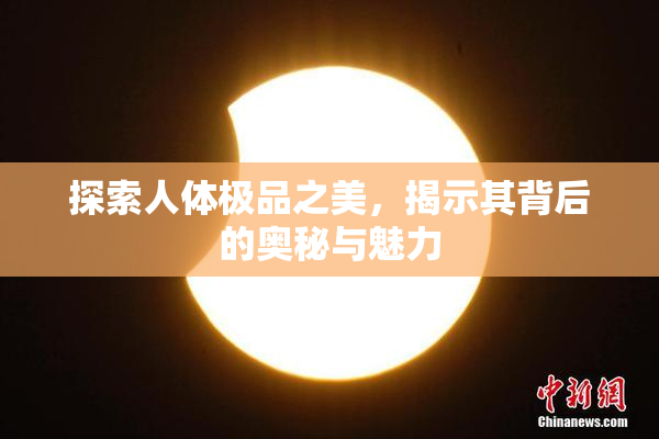 探索人体极品之美，揭示其背后的奥秘与魅力