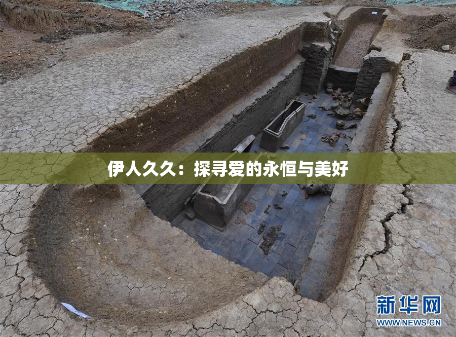 伊人久久：探寻爱的永恒与美好