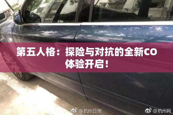 第五人格：探险与对抗的全新CO体验开启！
