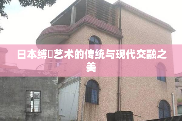 日本缚縄艺术的传统与现代交融之美