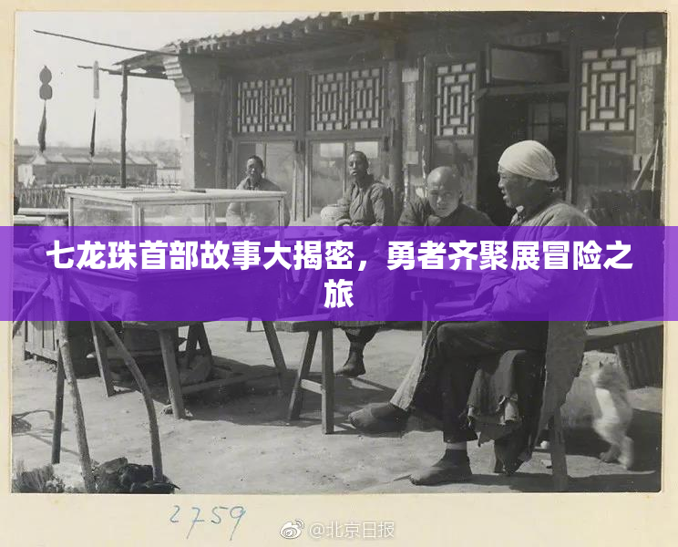 七龙珠首部故事大揭密，勇者齐聚展冒险之旅