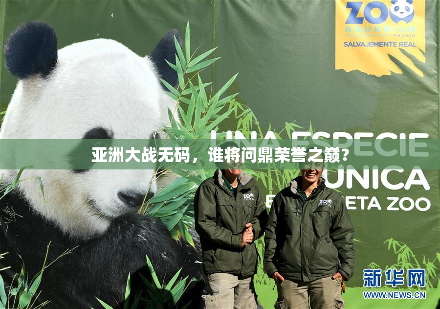 亚洲大战无码，谁将问鼎荣誉之巅？