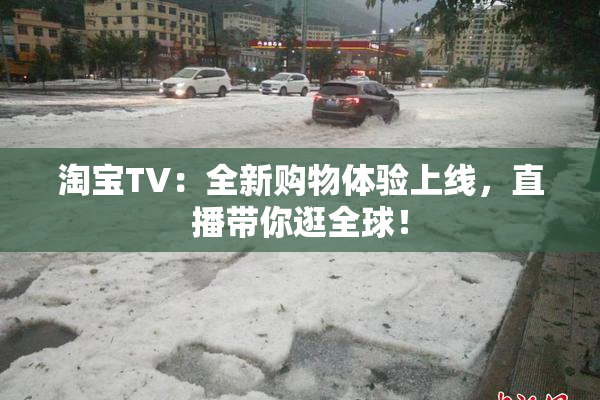 淘宝TV：全新购物体验上线，直播带你逛全球！