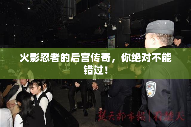 火影忍者的后宫传奇，你绝对不能错过！