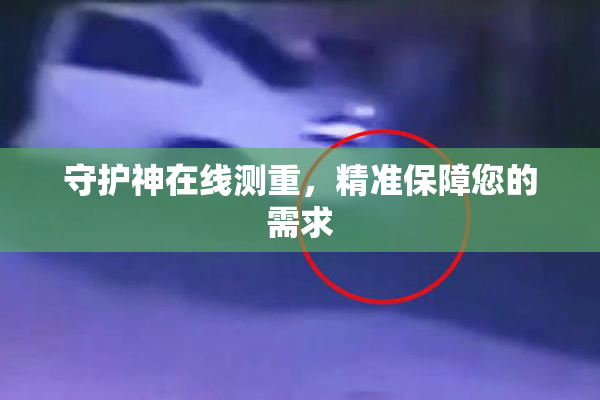 守护神在线测重，精准保障您的需求