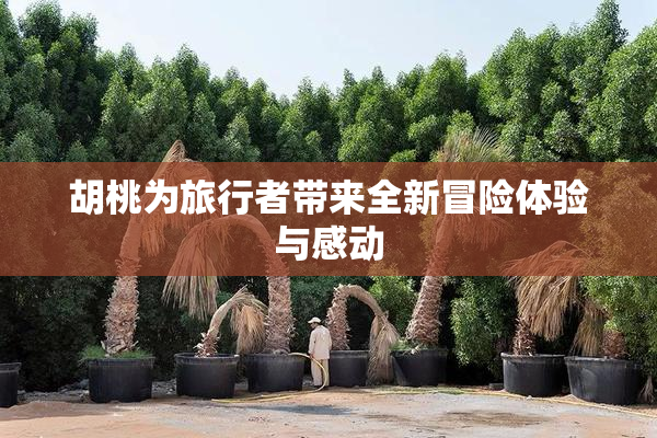 胡桃为旅行者带来全新冒险体验与感动