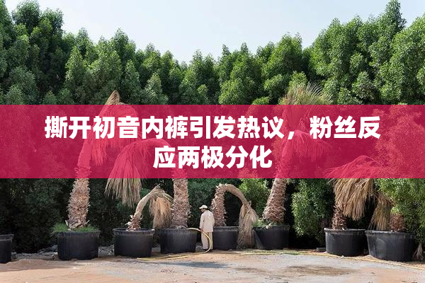 撕开初音内裤引发热议，粉丝反应两极分化