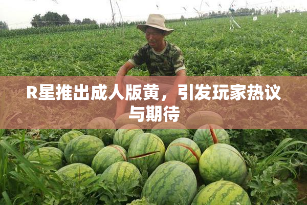 R星推出成人版黄，引发玩家热议与期待