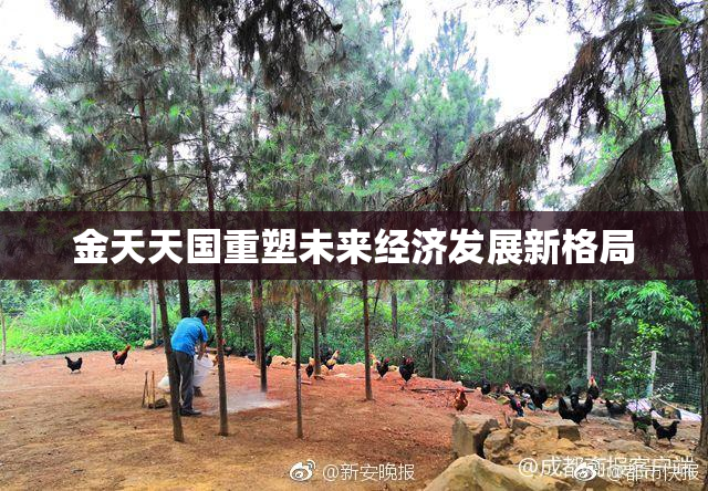 金天天国重塑未来经济发展新格局
