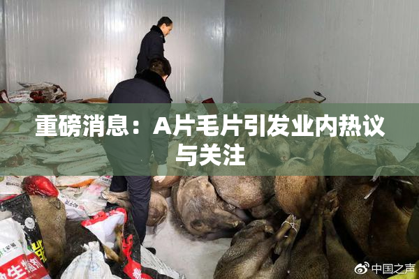 重磅消息：A片毛片引发业内热议与关注