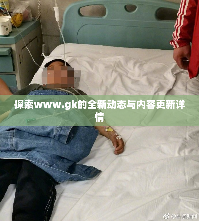 探索www.gk的全新动态与内容更新详情