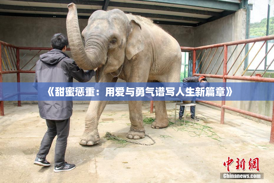 《甜蜜惩重：用爱与勇气谱写人生新篇章》