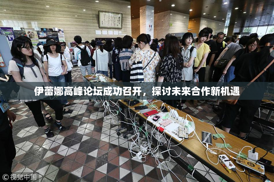 伊蕾娜高峰论坛成功召开，探讨未来合作新机遇