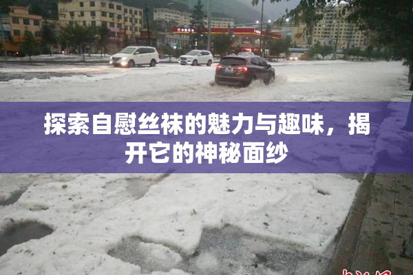 探索自慰丝袜的魅力与趣味，揭开它的神秘面纱