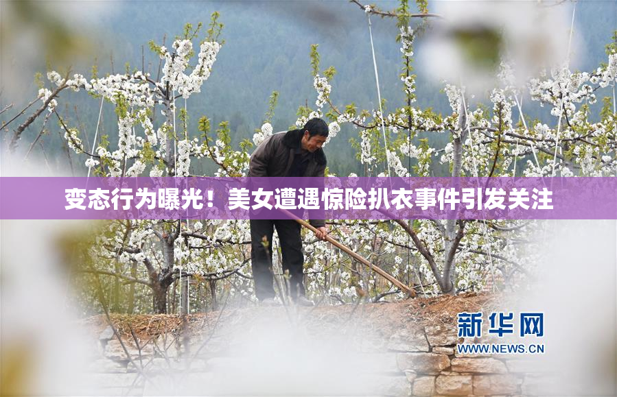 变态行为曝光！美女遭遇惊险扒衣事件引发关注