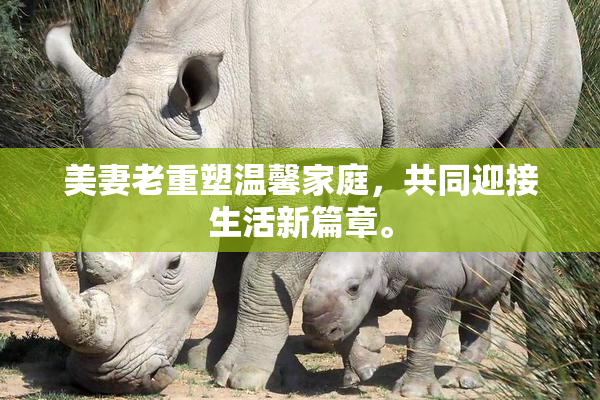 美妻老重塑温馨家庭，共同迎接生活新篇章。