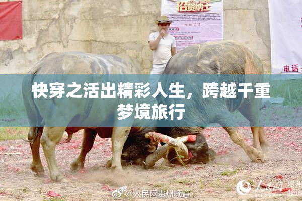 快穿之活出精彩人生，跨越千重梦境旅行