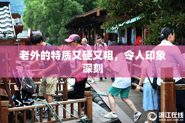老外的特质又硬又粗，令人印象深刻