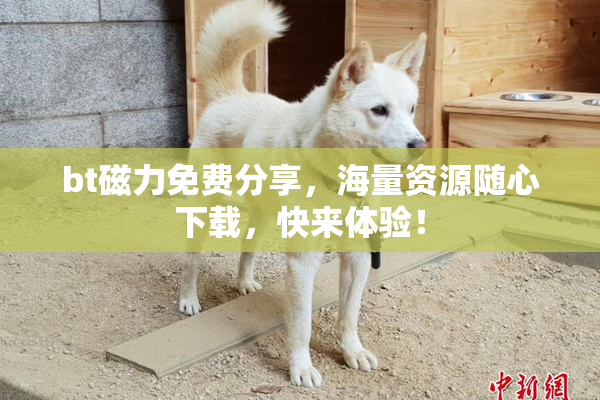 bt磁力免费分享，海量资源随心下载，快来体验！