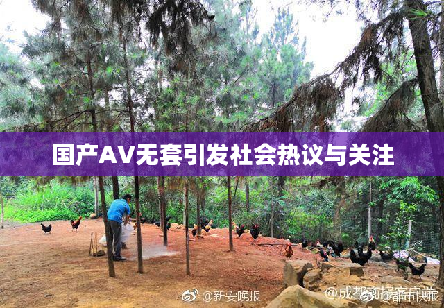 国产AV无套引发社会热议与关注