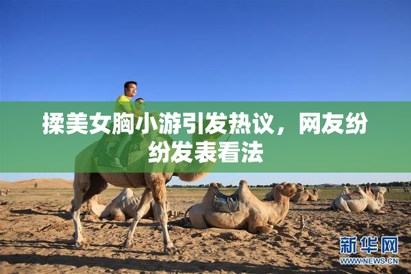 揉美女胸小游引发热议，网友纷纷发表看法
