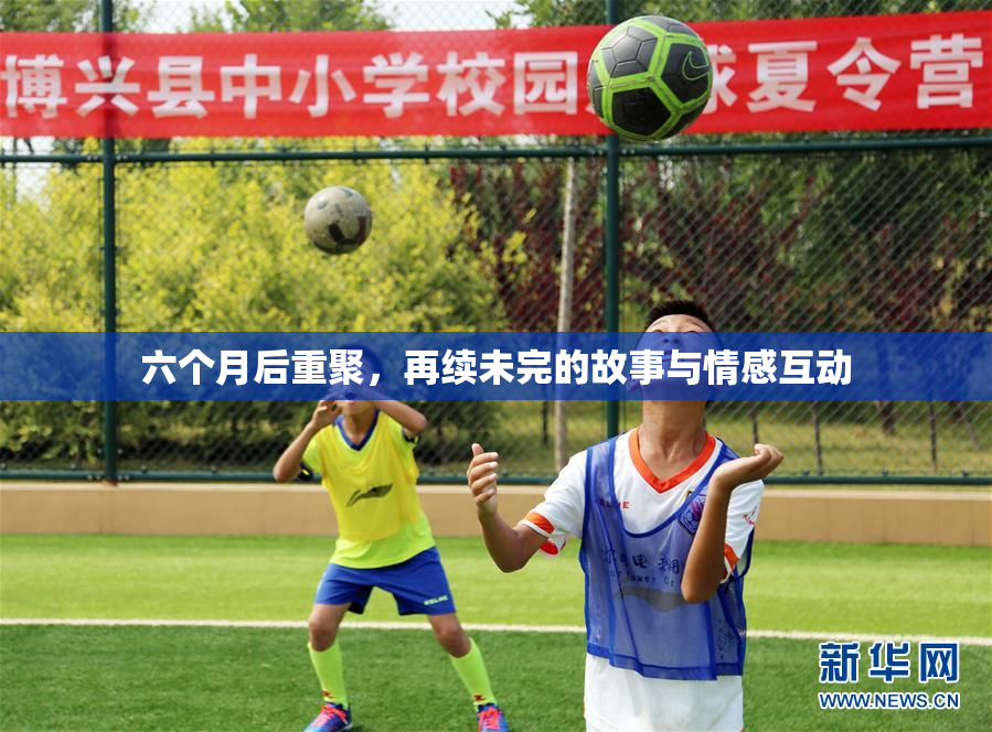 六个月后重聚，再续未完的故事与情感互动