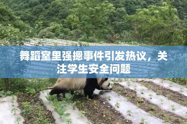 舞蹈室里强摁事件引发热议，关注学生安全问题