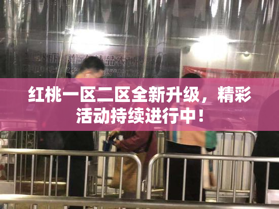 红桃一区二区全新升级，精彩活动持续进行中！