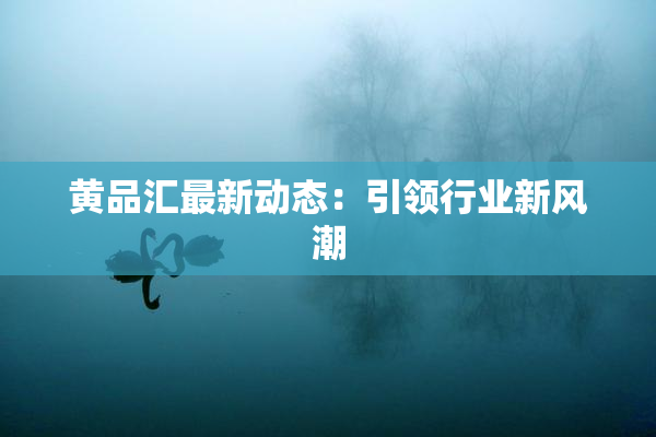 黄品汇最新动态：引领行业新风潮