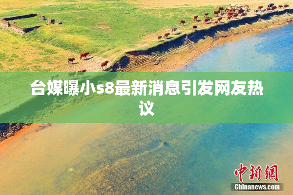 台媒曝小s8最新消息引发网友热议