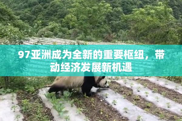 97亚洲成为全新的重要枢纽，带动经济发展新机遇
