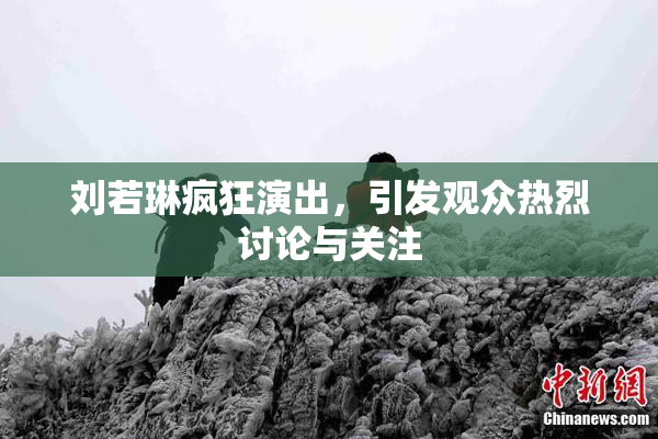 刘若琳疯狂演出，引发观众热烈讨论与关注