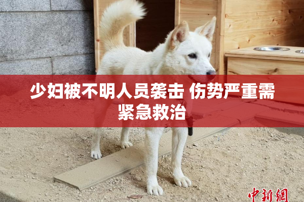 少妇被不明人员袭击 伤势严重需紧急救治