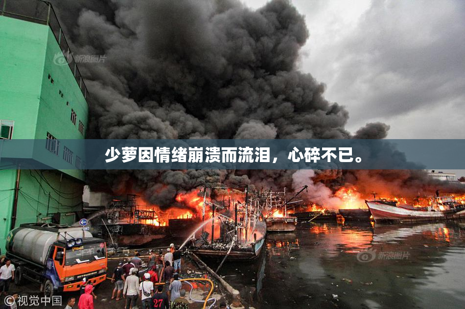 少萝因情绪崩溃而流泪，心碎不已。