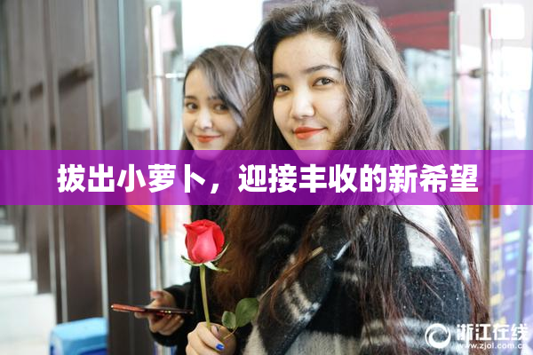 拔出小萝卜，迎接丰收的新希望