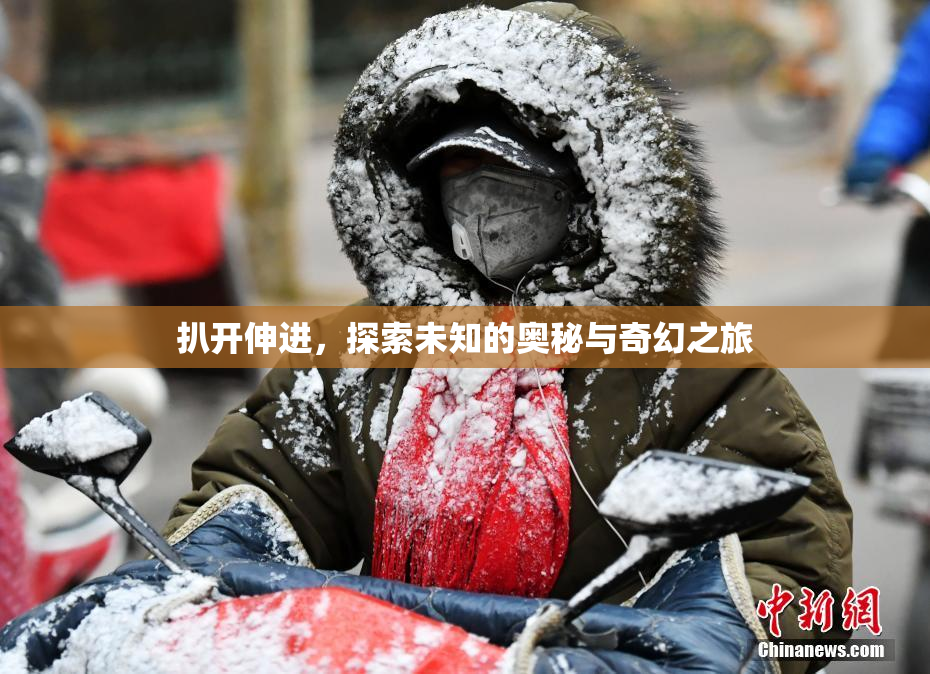 扒开伸进，探索未知的奥秘与奇幻之旅