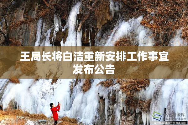 王局长将白洁重新安排工作事宜发布公告
