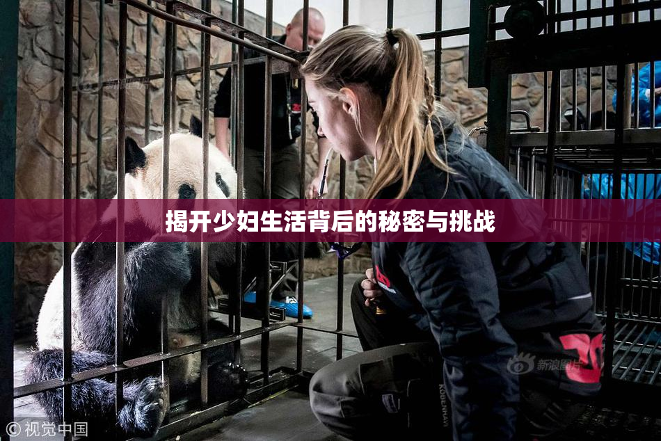 揭开少妇生活背后的秘密与挑战