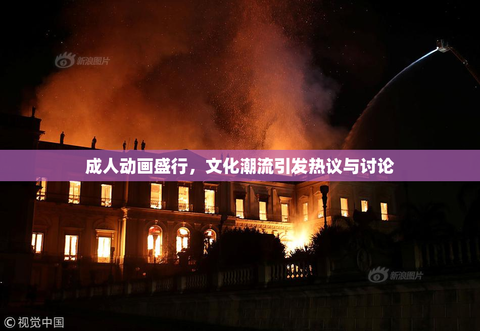 成人动画盛行，文化潮流引发热议与讨论